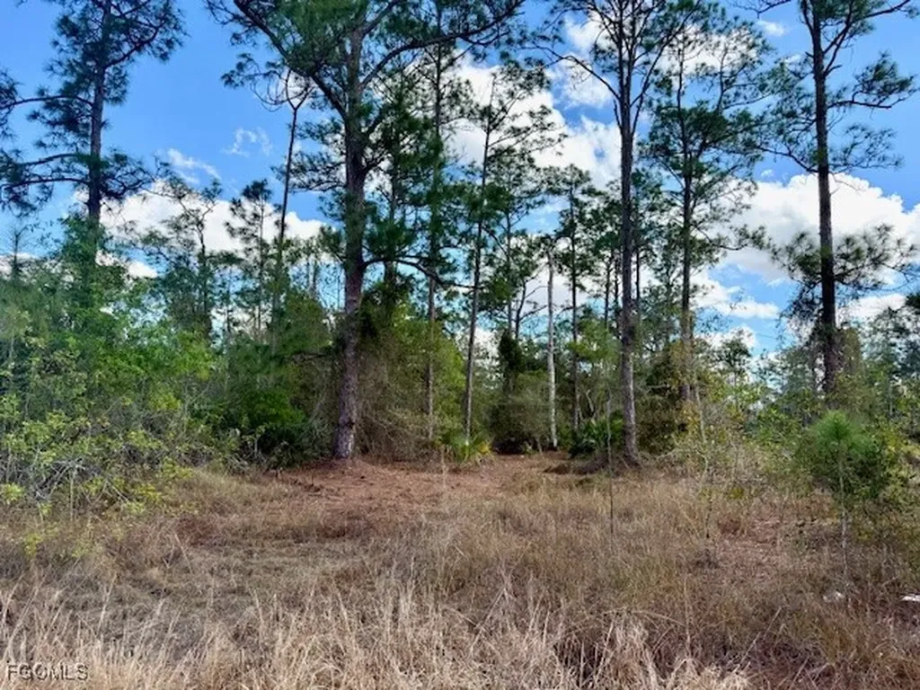 1422 North Avenue Lehigh Acres FL 33972