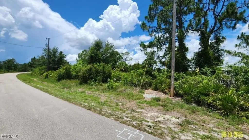 1133 Barfield Street E Lehigh Acres FL 33974