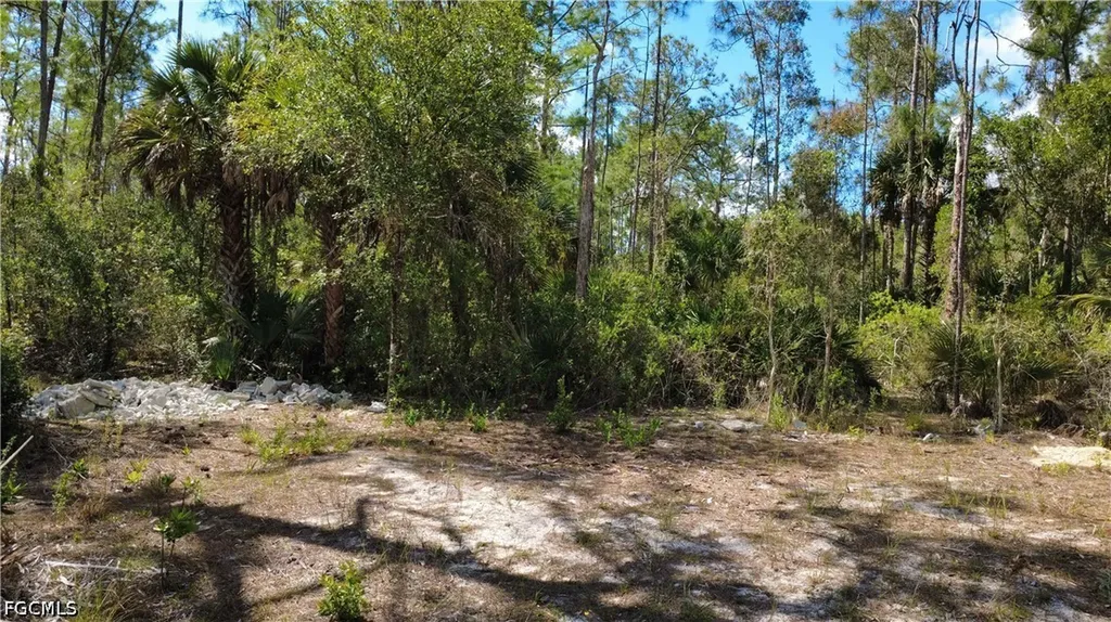 267 Woodburn Drive Lehigh Acres FL 33972