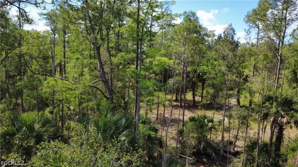 267 Woodburn Drive Lehigh Acres FL 33972