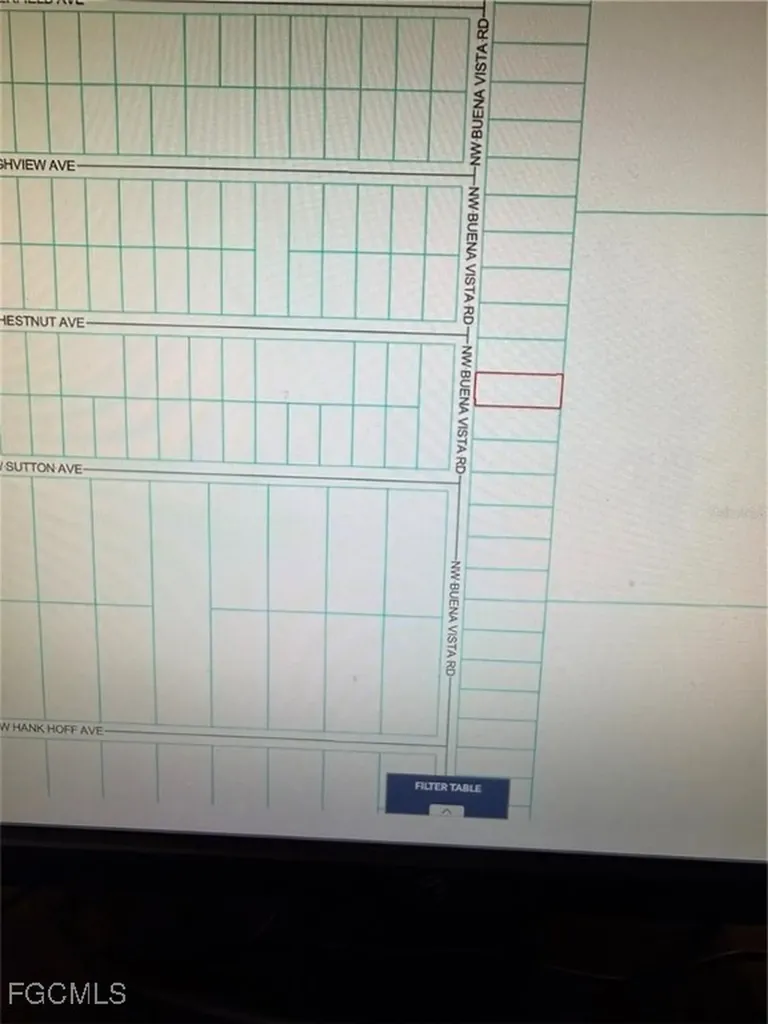 Tbd NW Buena Vista Road Dunnellon FL 34431