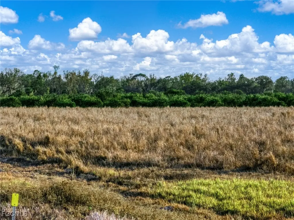 Rest Haven Road Zolfo Springs FL 33890
