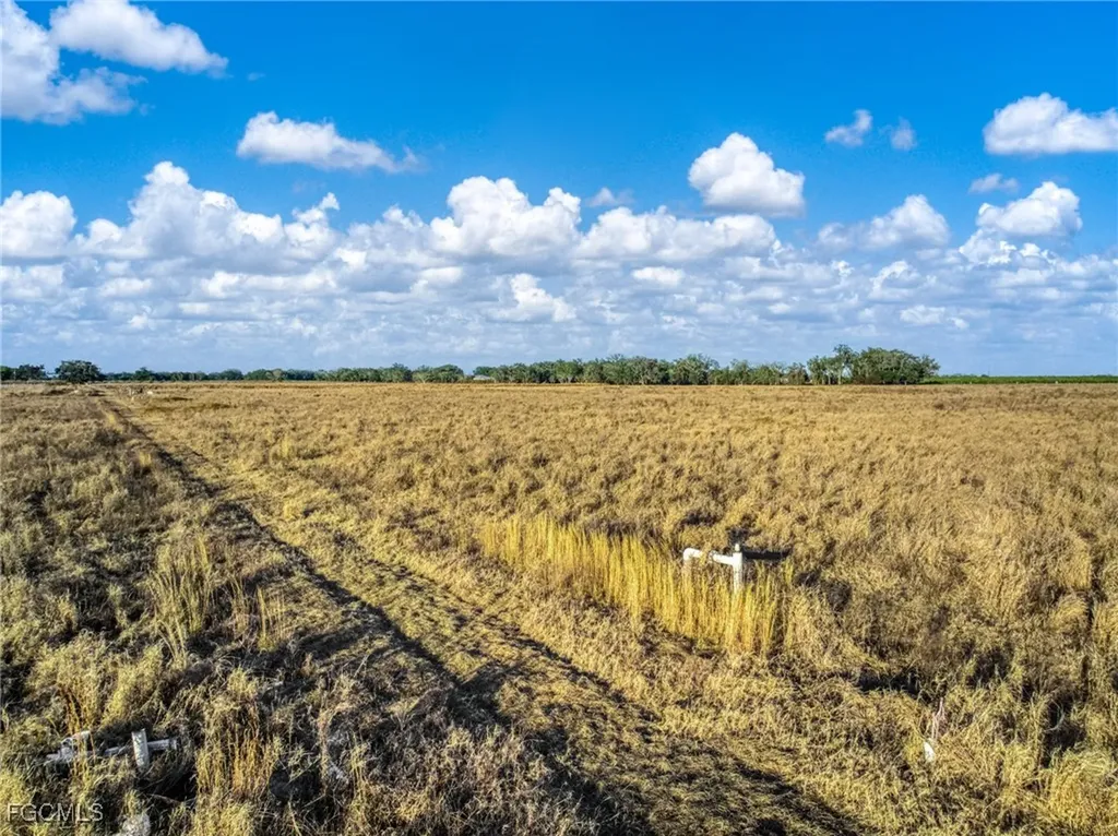 Rest Haven Road Zolfo Springs FL 33890