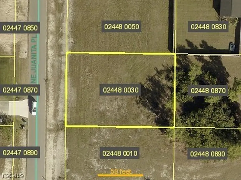 1221 NE Juanita Place Cape Coral FL 33909