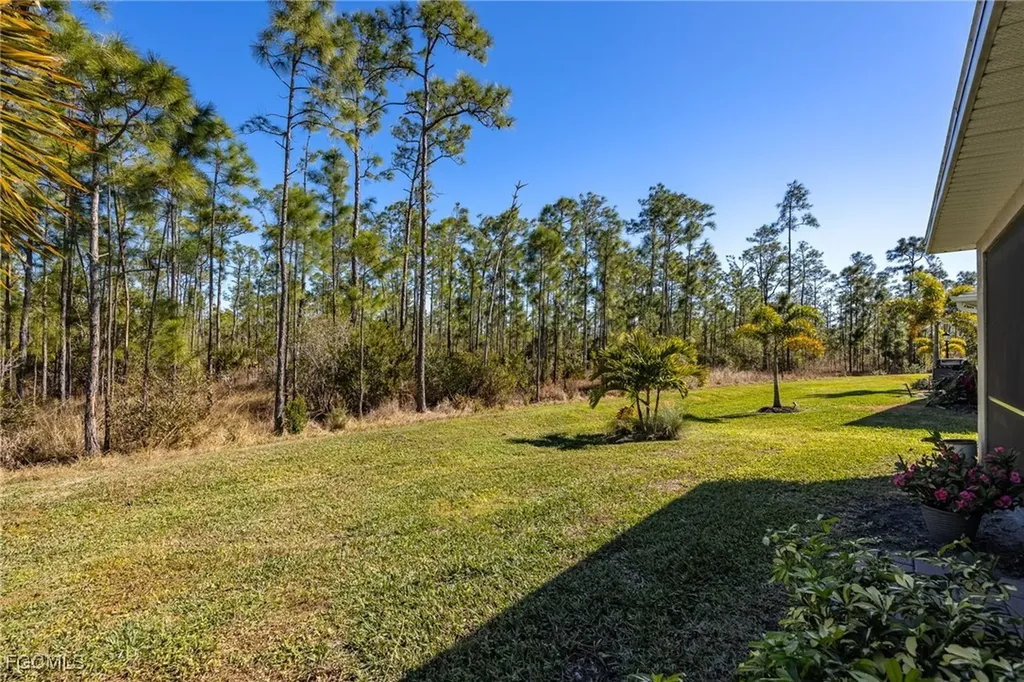 20587 Plumwood Loop North Fort Myers FL 33917