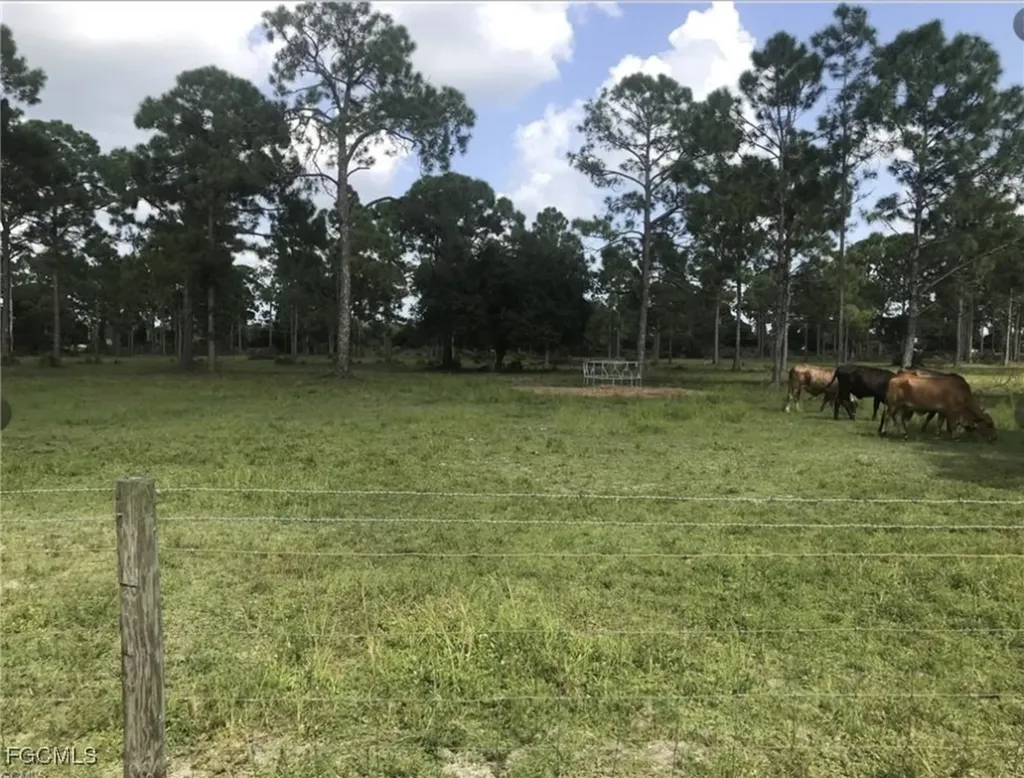 3220 Andalusia Boulevard Cape Coral FL 33909