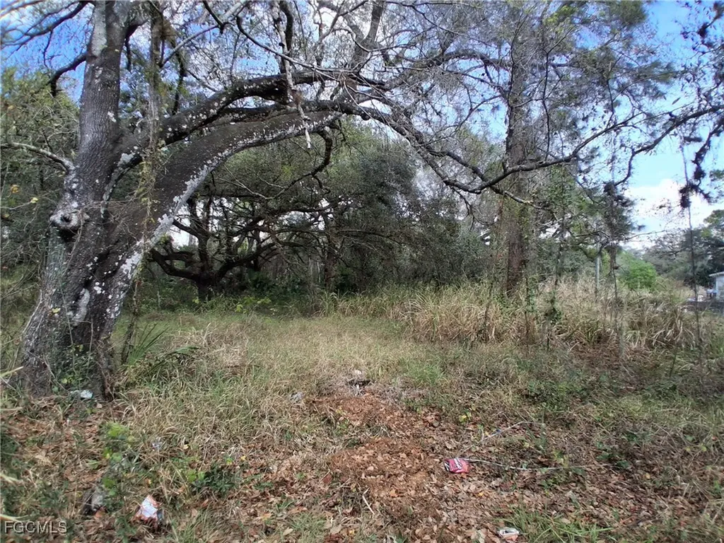 Suwanee Avenue Labelle FL 33935