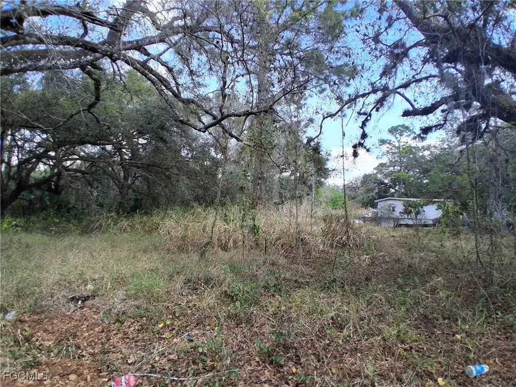 Suwanee Avenue Labelle FL 33935