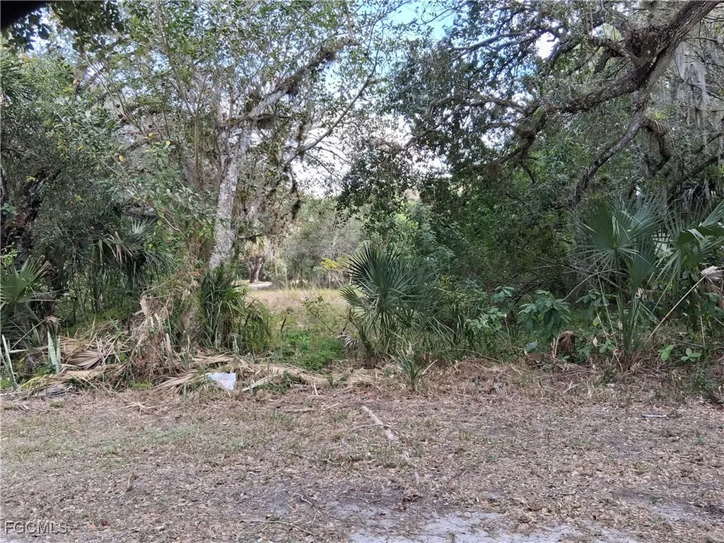 Suwanee Avenue Labelle FL 33935