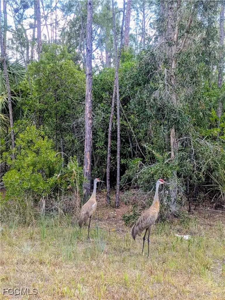 1904 Ney Court Lehigh Acres FL 33972