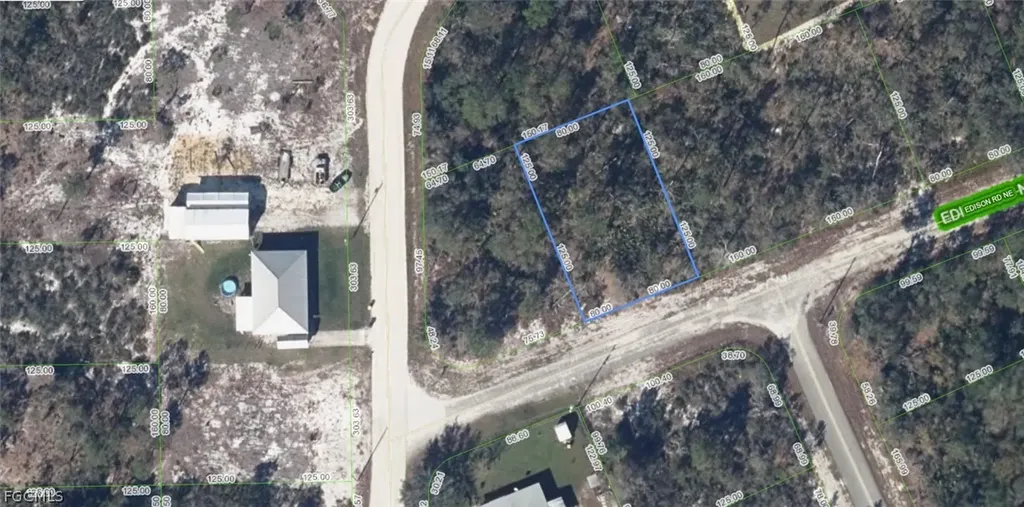 102 Edison Road NE Lake Placid FL 33852