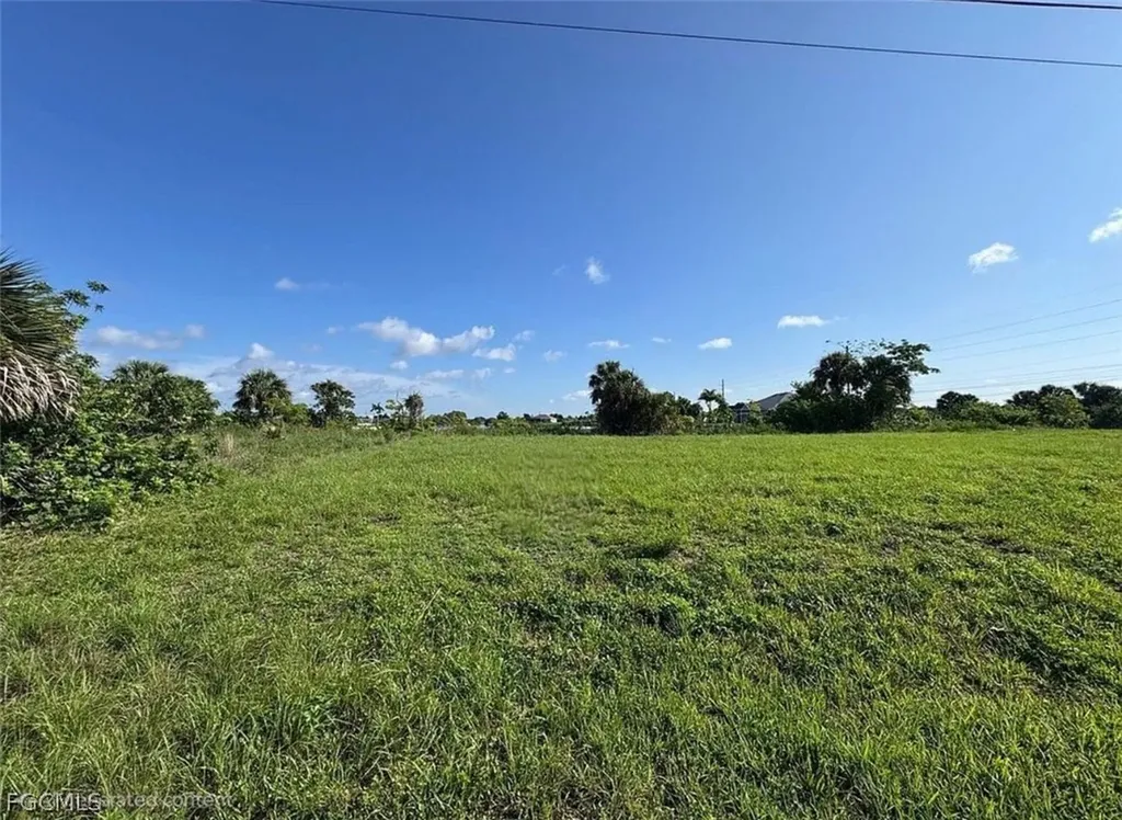 2321 NE 17th Street Cape Coral FL 33909
