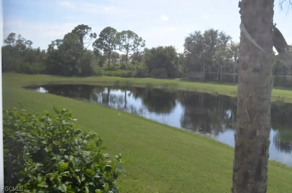17462 Old Harmony Drive Fort Myers FL 33908