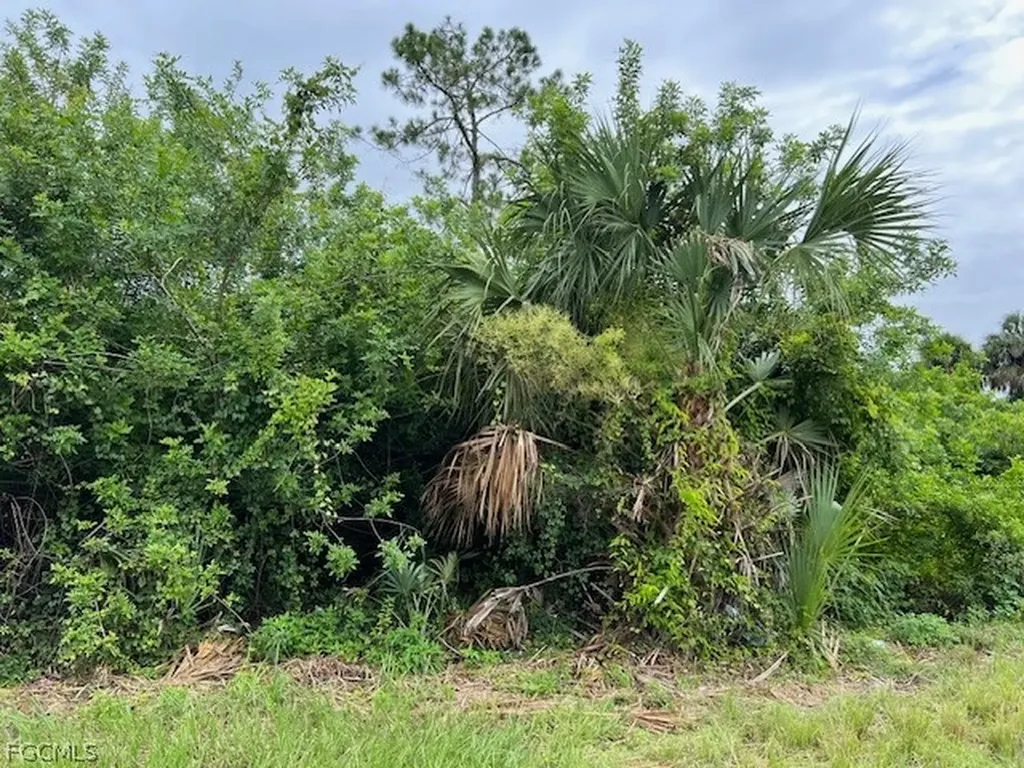619 Clancy Street E Lehigh Acres FL 33974