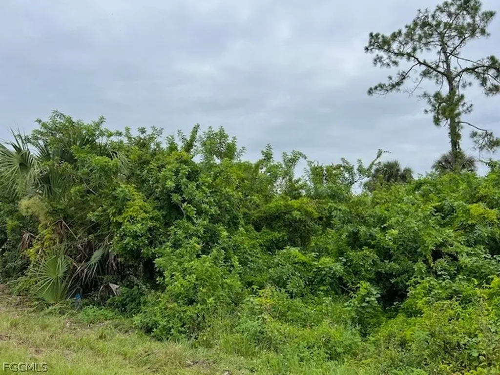 619 Clancy Street E Lehigh Acres FL 33974