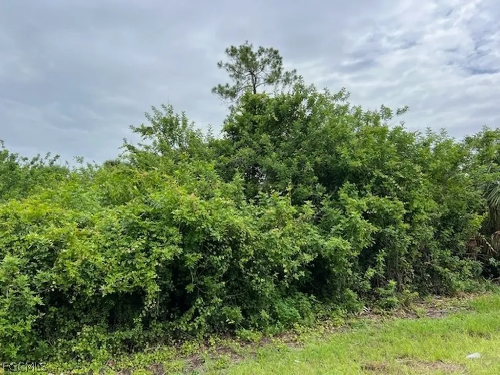 619 Clancy Street E Lehigh Acres FL 33974