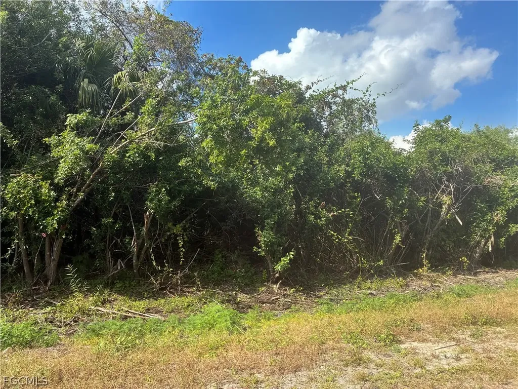 770 N Brida Street Clewiston FL 33440