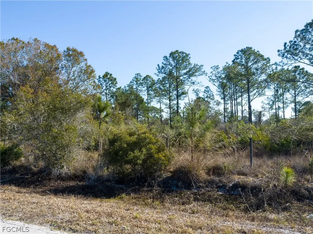 S Swinging Trail Labelle FL 33935