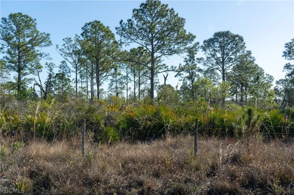 S Swinging Trail Labelle FL 33935