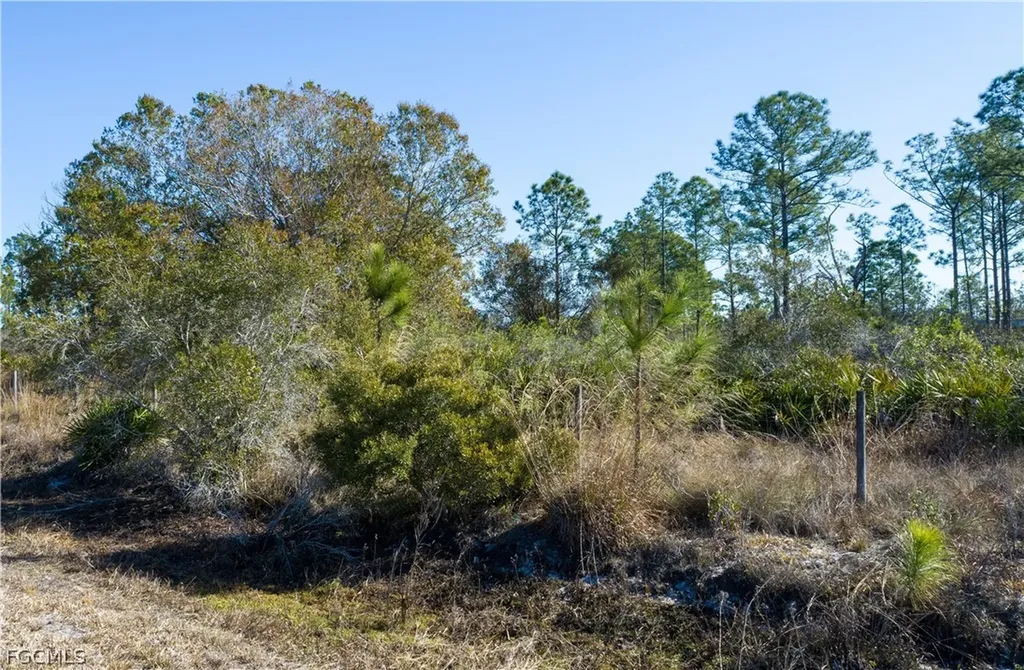 S Swinging Trail Labelle FL 33935