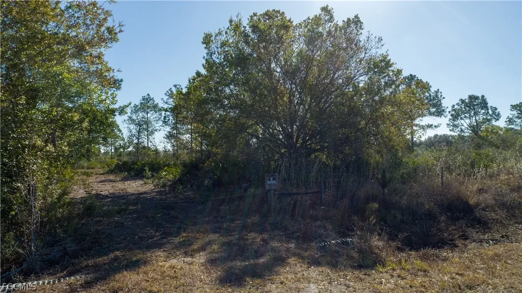 S Swinging Trail Labelle FL 33935