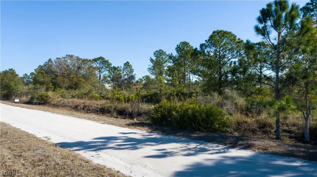 S Swinging Trail Labelle FL 33935