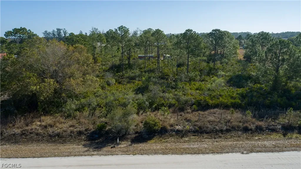 S Swinging Trail Labelle FL 33935