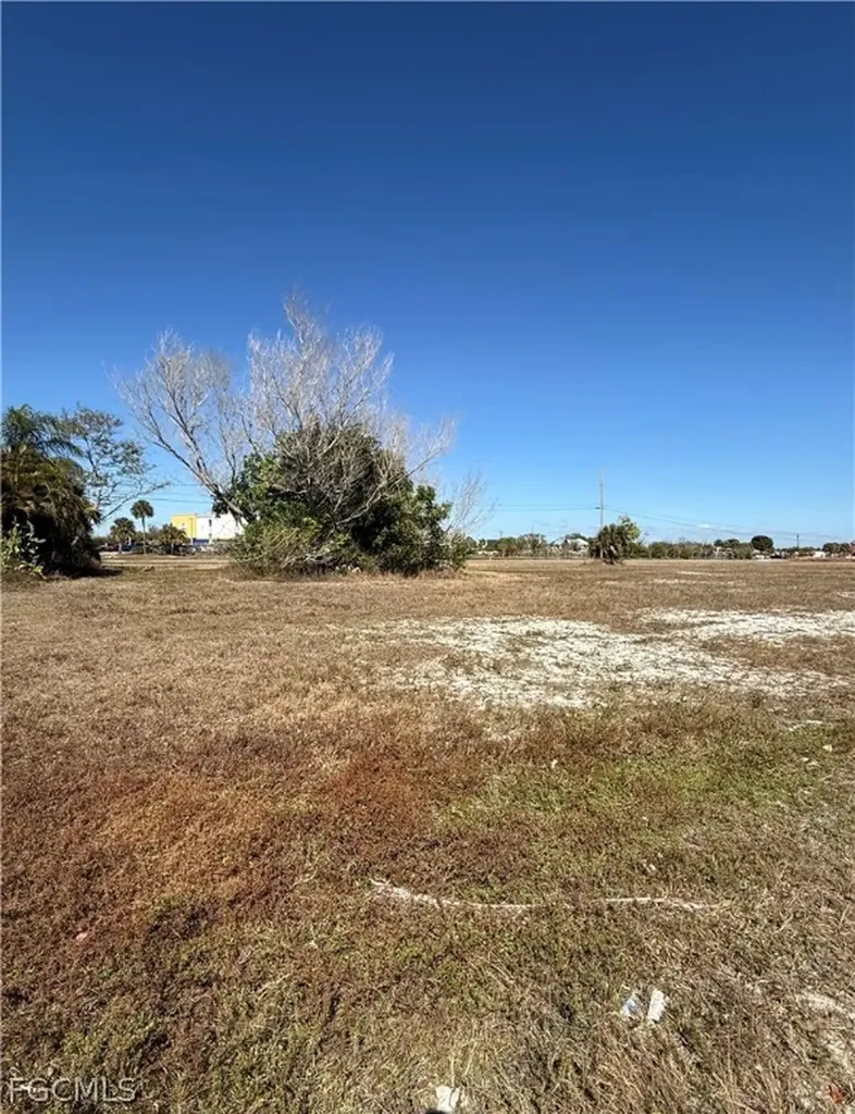 617 SW 3rd Street Cape Coral FL 33991