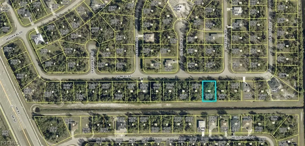 480 Conlee Street Lehigh Acres FL 33974