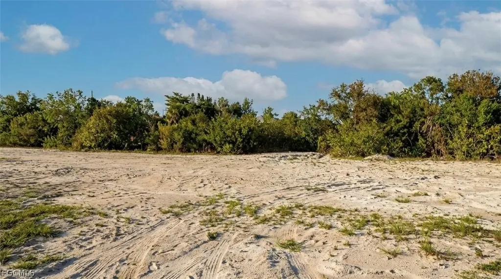 917 NE 11th Terrace Cape Coral FL 33909