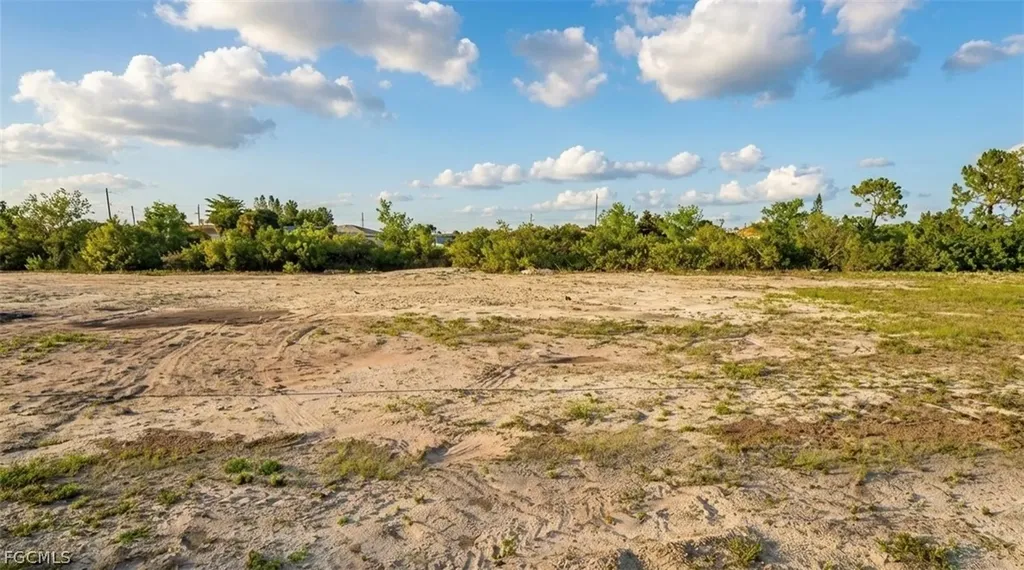 917 NE 11th Terrace Cape Coral FL 33909