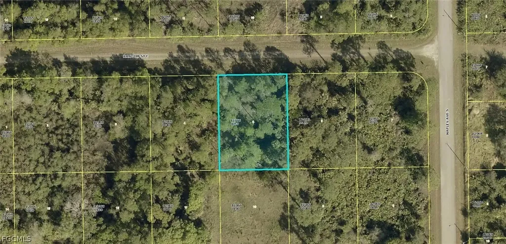 1242 Random Street E Lehigh Acres FL 33974