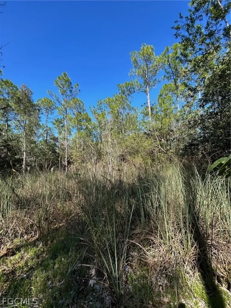 Naples FL 34120