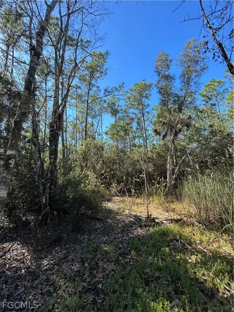 Naples FL 34120