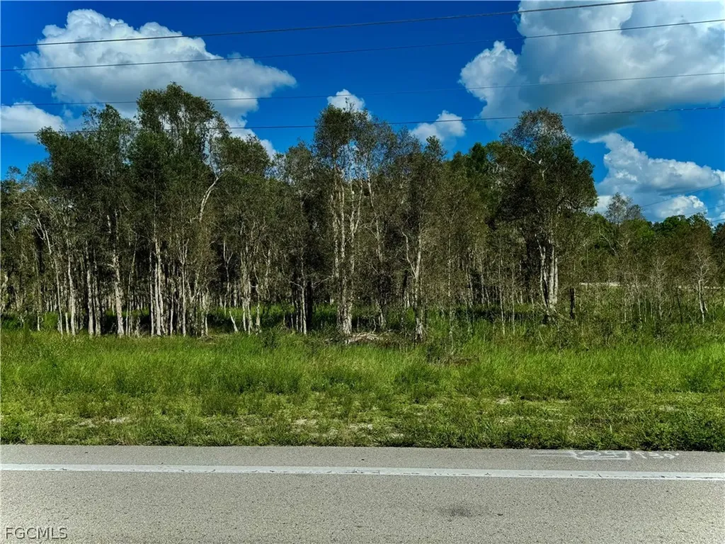 1005/1007 Homestead Road S Lehigh Acres FL 33974
