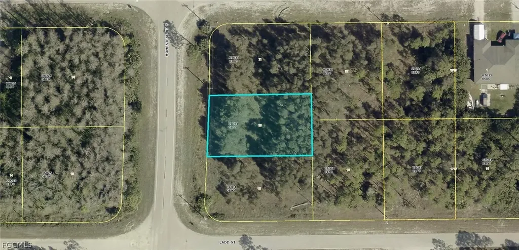 1005/1007 Homestead Road S Lehigh Acres FL 33974
