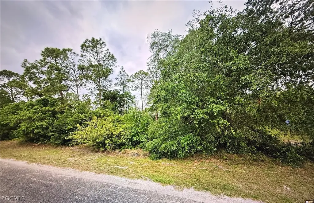 1419 Sheldon Avenue Lehigh Acres FL 33972