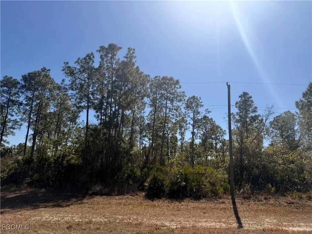 325/327 Greenbriar Boulevard Lehigh Acres FL 33972