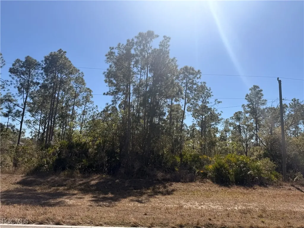 325/327 Greenbriar Boulevard Lehigh Acres FL 33972