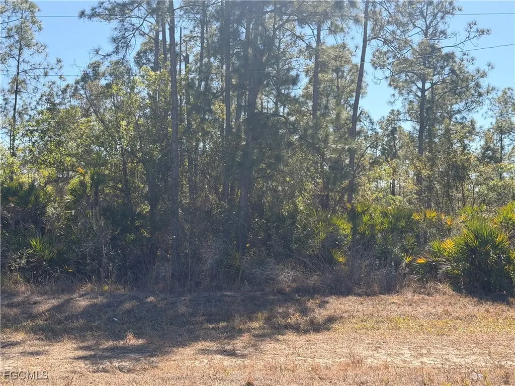 325/327 Greenbriar Boulevard Lehigh Acres FL 33972