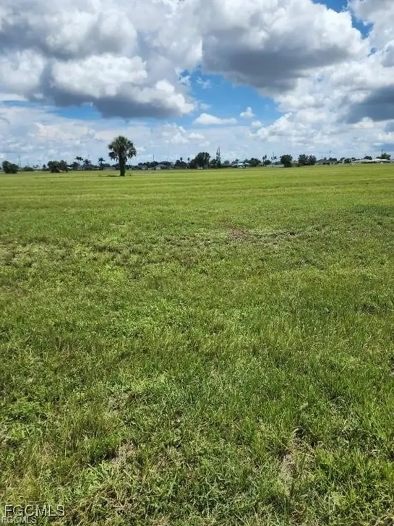 2020 NE 17th Terrace Cape Coral FL 33909