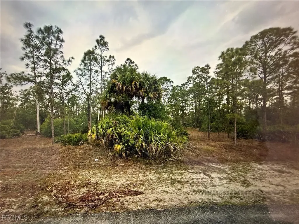 1413 Sheldon Avenue Lehigh Acres FL 33972