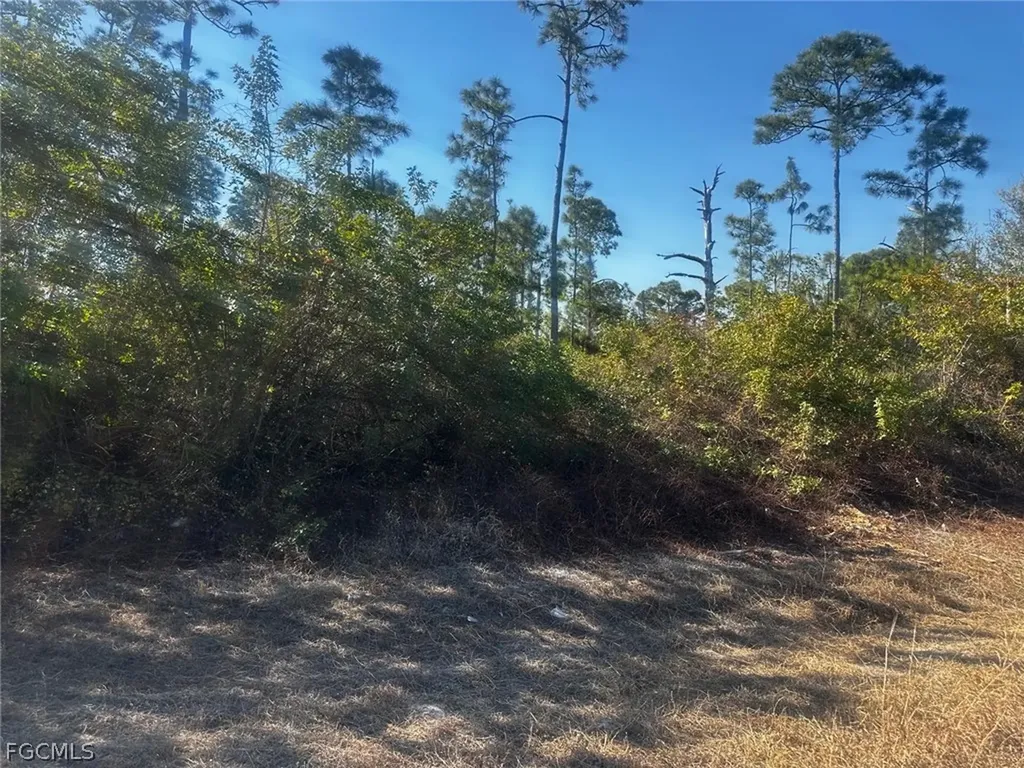 460 Lackey Avenue S Lehigh Acres FL 33974