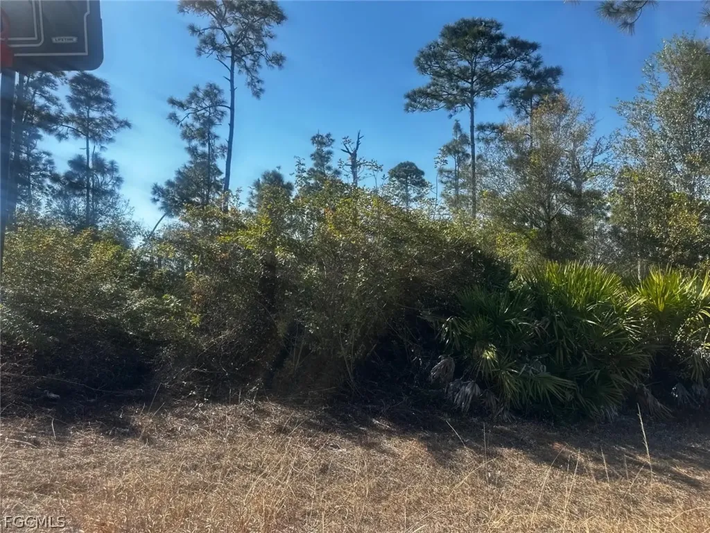 460 Lackey Avenue S Lehigh Acres FL 33974