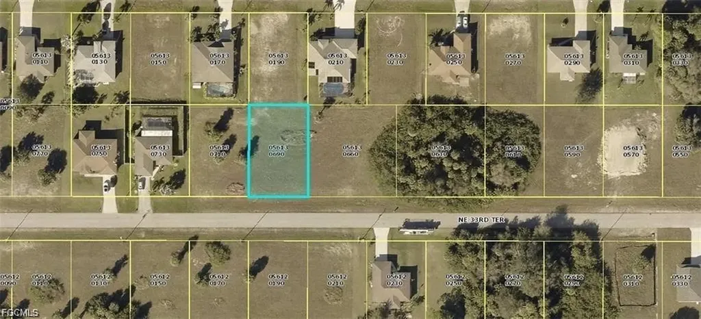 1407 NE 33rd Terrace Cape Coral FL 33909