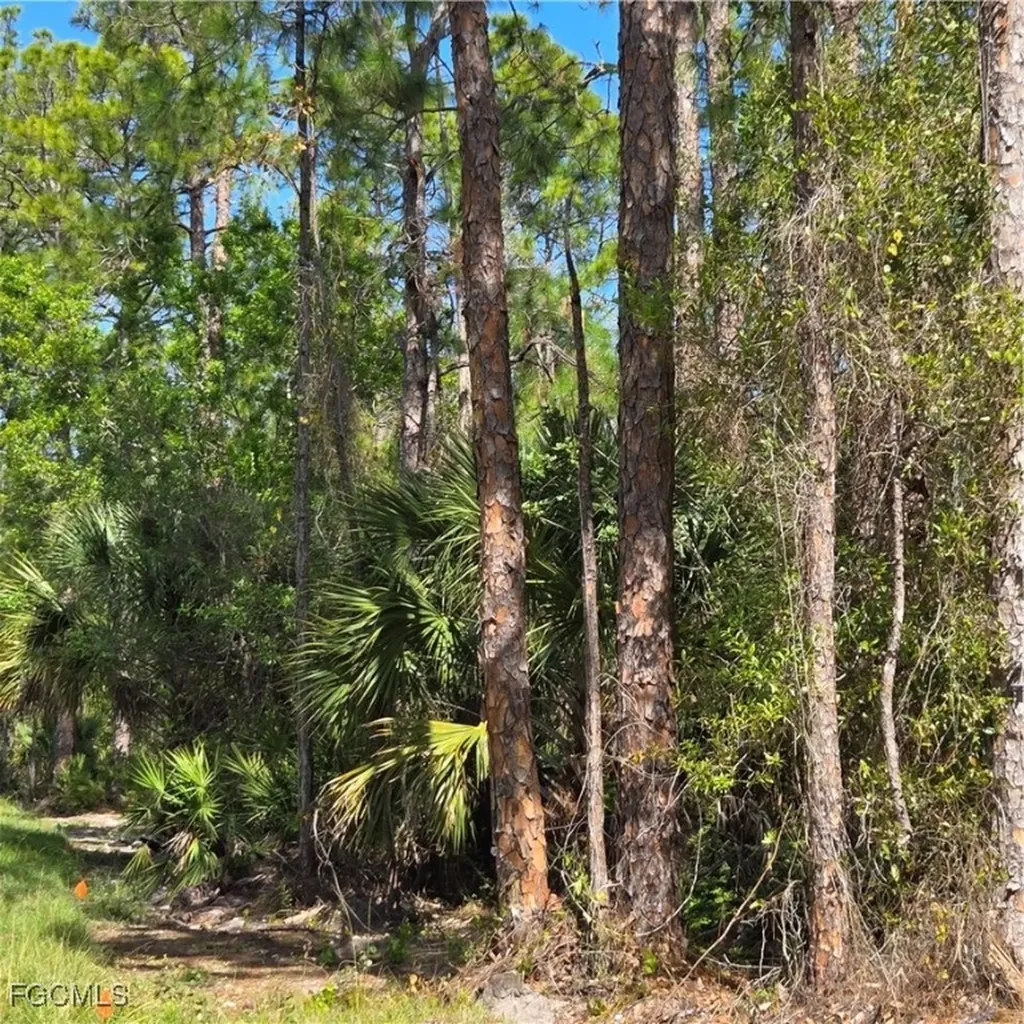 47TH Avenue NE Naples FL 34120