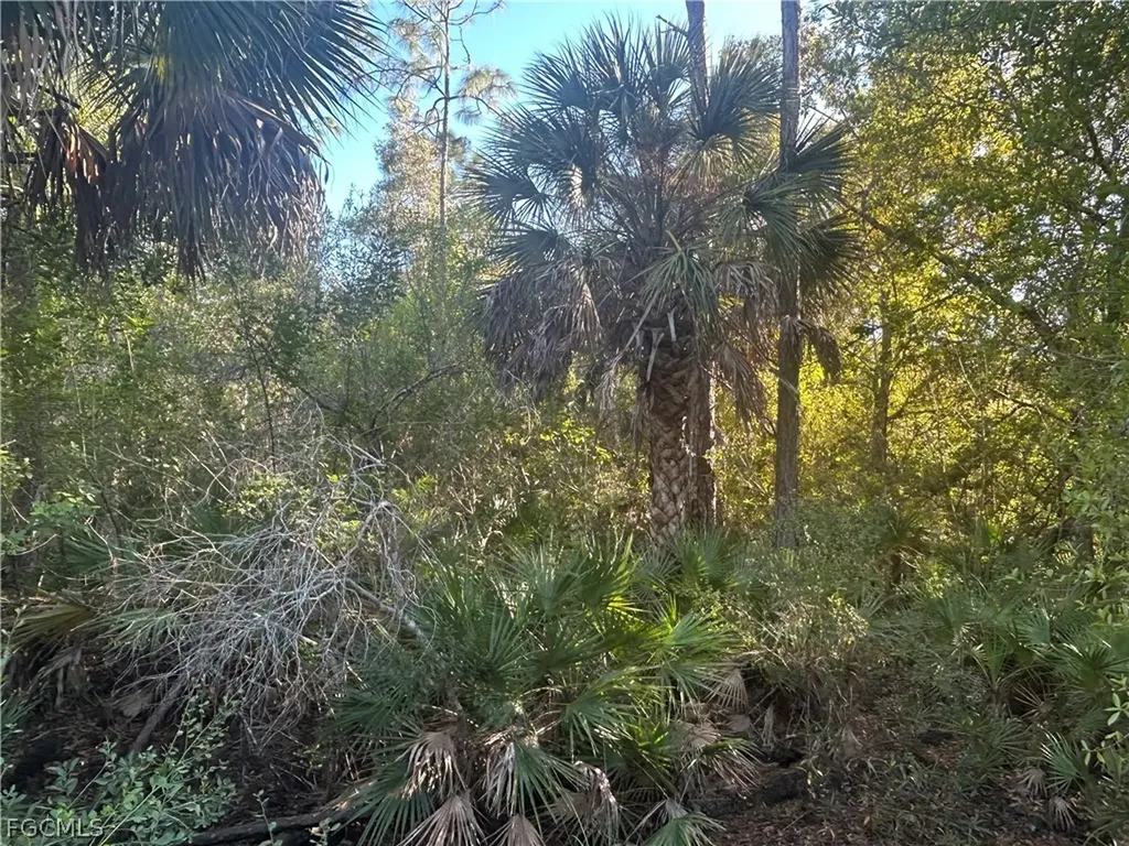 9580 Councilor Lane North Fort Myers FL 33917
