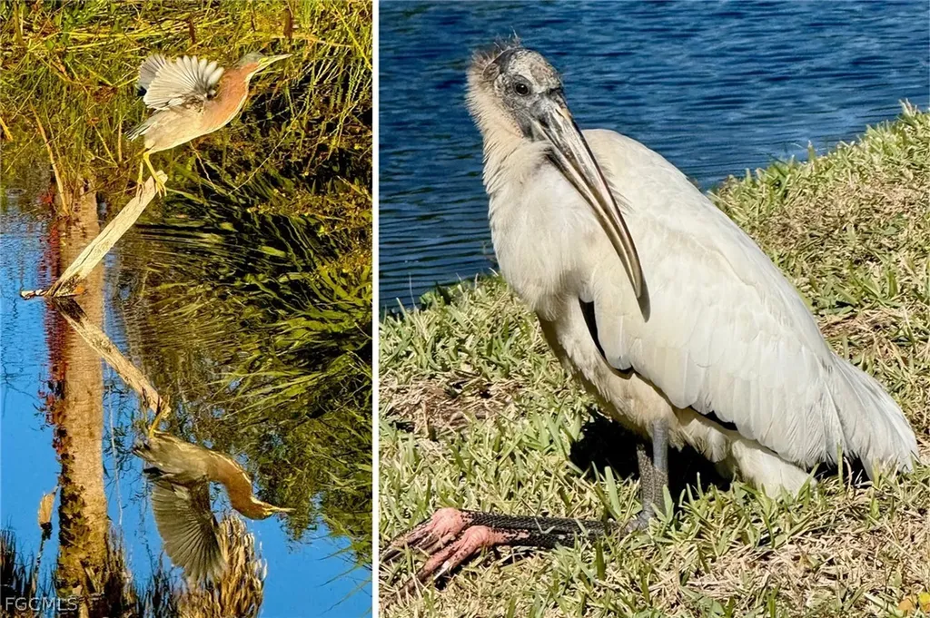 14593 Aeries Way Drive Fort Myers FL 33912