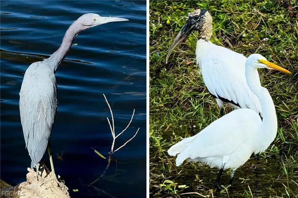 14593 Aeries Way Drive Fort Myers FL 33912