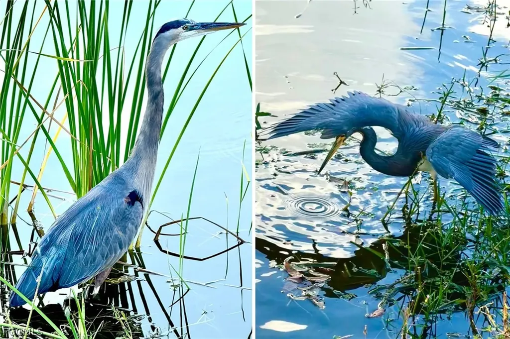 14593 Aeries Way Drive Fort Myers FL 33912